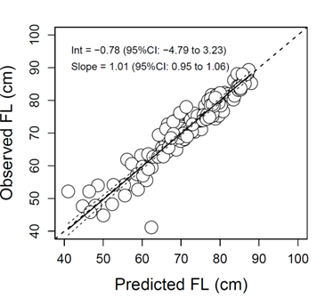 Figurexxx. Oberved vs. Predicted Fork Lenghts